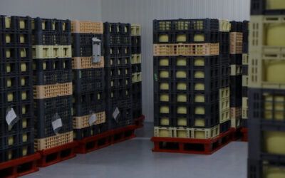 Comprar quesos online artesanos. Compra en nuestra tienda online los mejores quesos de Artesanos Lácteos.