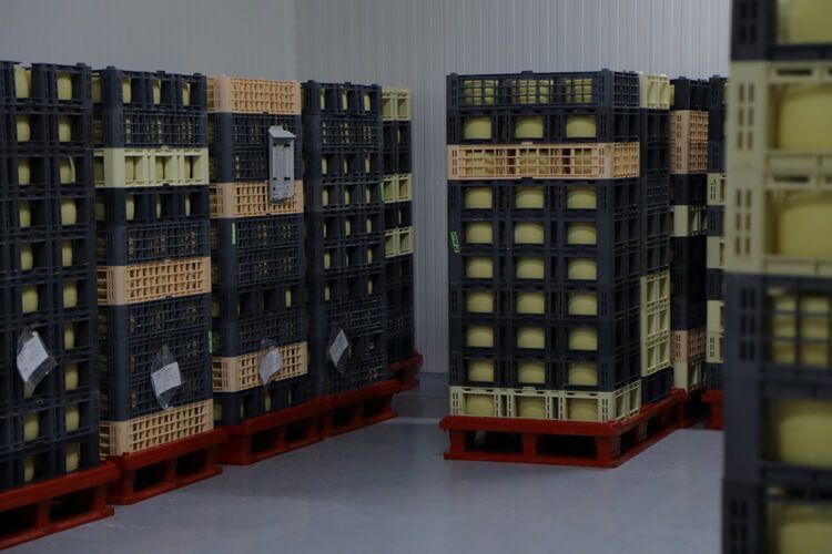 Almacén-de-quesos-manchegos-de-Artesanos-Lácteos