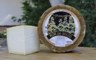 Tipos de queso. ¿Cómo puedo diferenciar unos quesos de otros?