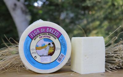Los beneficios de comer queso de cabra. Prueba los quesos de cabra de Artesanos Lácteos.