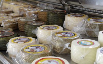 ¿Dónde puedo comprar queso manchego? Precios increíbles, pero sobre todo de gran calidad.