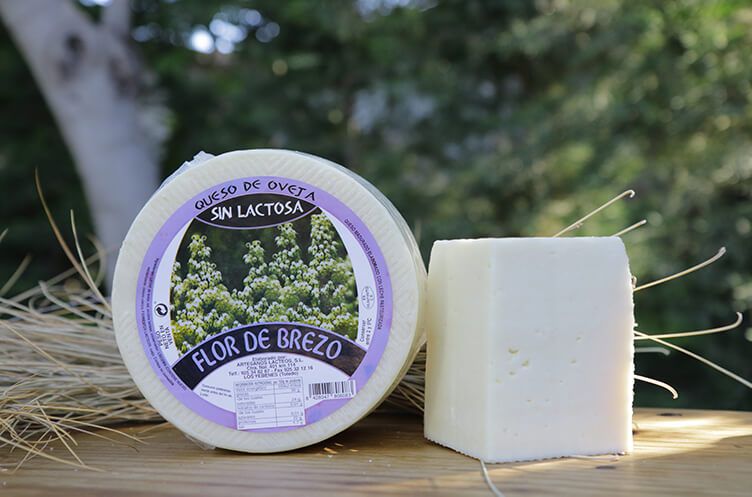 Queso sin lactosa elaborado con leche de oveja de Artesanos Lácteos