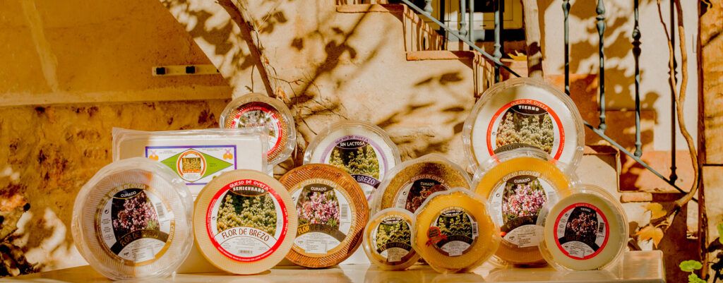 Comer queso en Navidad. Comprar quesos manchegos de Artesanso Lácteos