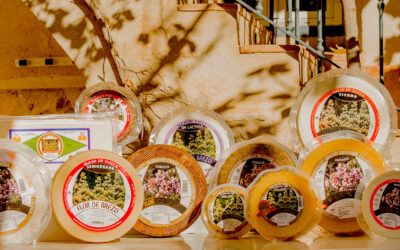 ¿Dónde comprar los mejores quesos curados manchegos?