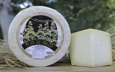 Los beneficios del queso para la salud. Consume quesos y contribuirás a la sostenibilidad de un sector imprescindible para la sociedad
